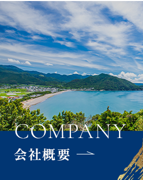 sp_bnrhalf_company